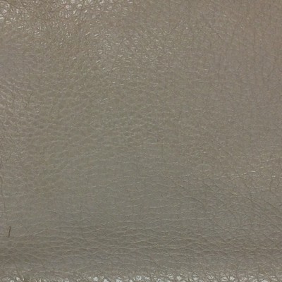 Gum Tree Avanti Bone