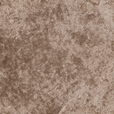 Gum Tree Ballet Gingerbread