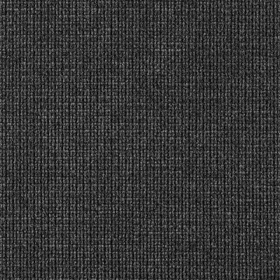 Gum Tree Champ Carbon