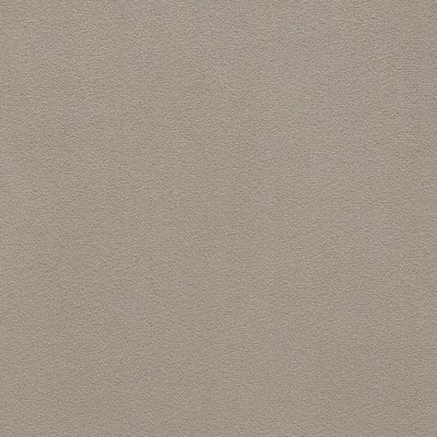 Gum Tree Chantel Ash