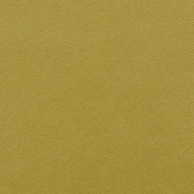 Gum Tree Chantel Fern