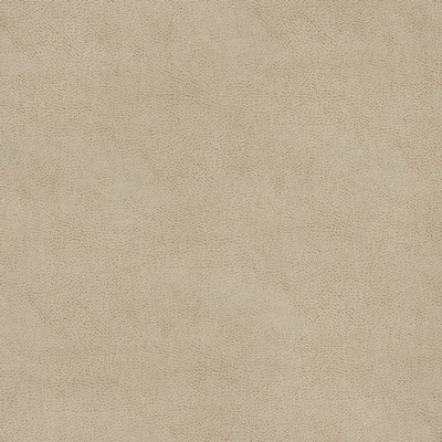 Gum Tree Colton Clay