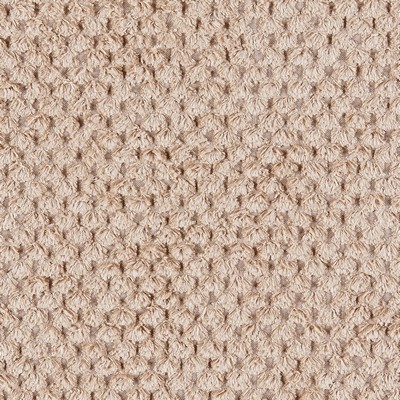 Gum Tree Davos Biscotti