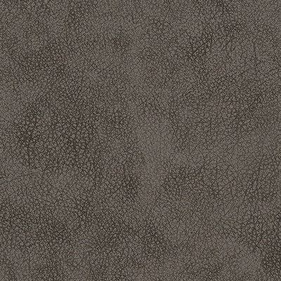 Gum Tree Innova Driftwood