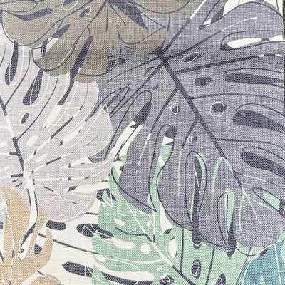 Gum Tree Kendall Lichen