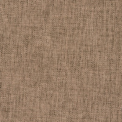 Gum Tree Key Biscayne Cocoa