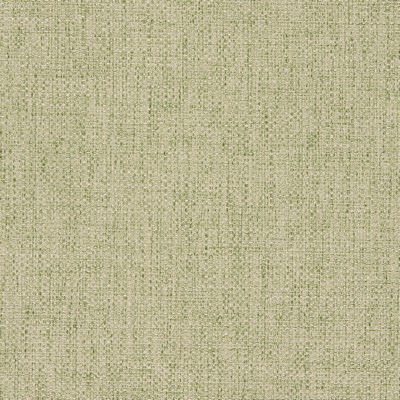 Gum Tree Key Biscayne Meadow