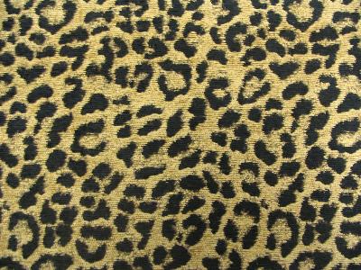 Gum Tree Leopardo Gold