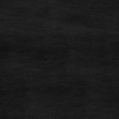 Gum Tree Luxuria Licorice