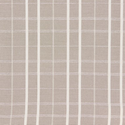 Gum Tree Midpoint Ocre