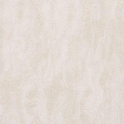 Gum Tree Santiago Birch