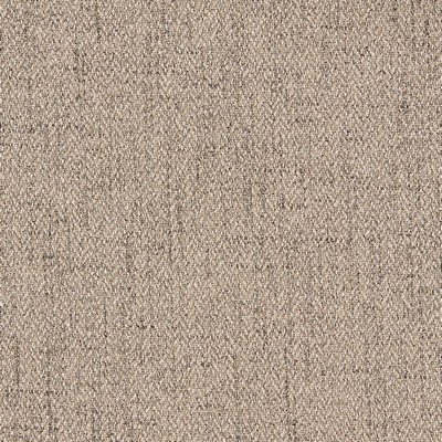 Gum Tree Sincere Sparrow