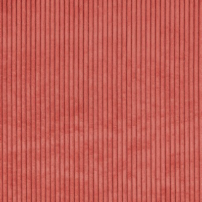 Gum Tree Swift Sunset