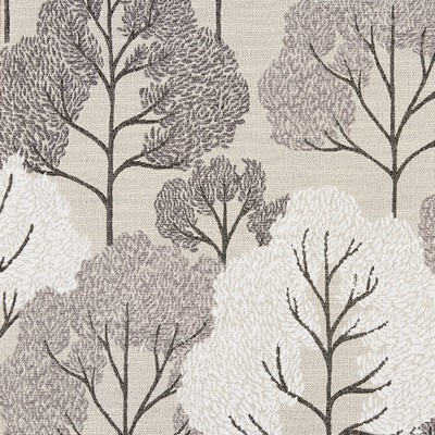 Gum Tree Trees Misty