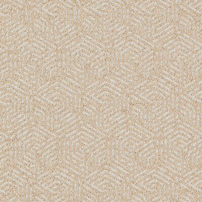 Gum Tree Tyler Champagne