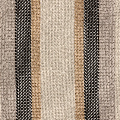 Gum Tree Vision Micah