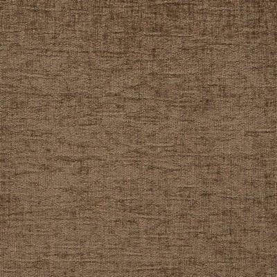 Gum Tree Walker Bark