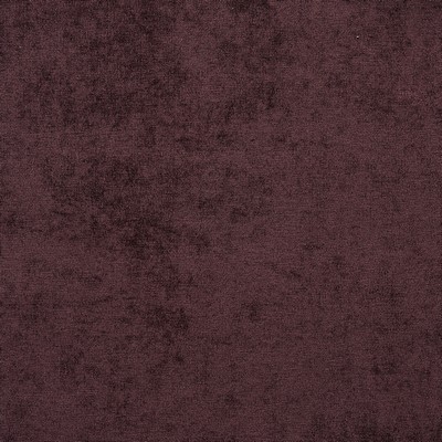 Gum Tree Zamora Plum