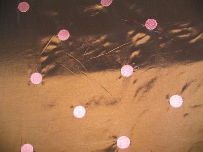 In Stock  EL2156T Pink