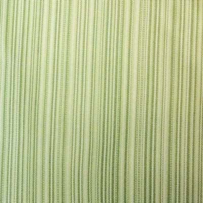 In Stock  Emery Stripe Lime Lime