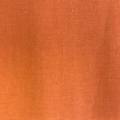 In Stock  Topeka Sweet Potato Sweet Potato