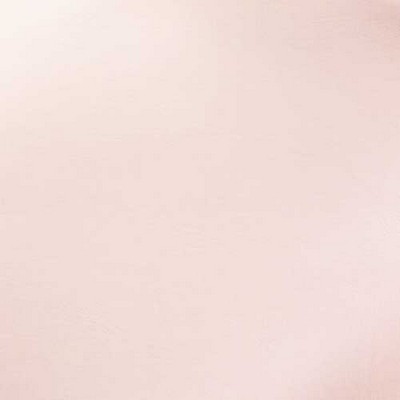 In Stock  Vinyl Blush