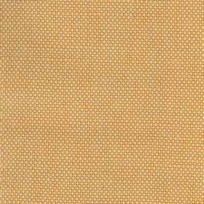 Kasmir ABRAHAM TERRACOTTA