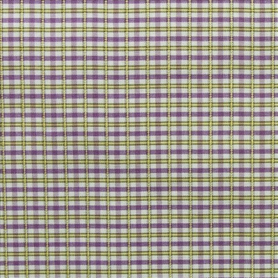 Kasmir ALEXANDER LILAC