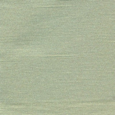 Kasmir ANTARES CELERY