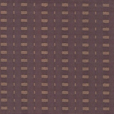 Kasmir APPLEBEE COCOA