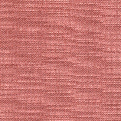 Kasmir ARIEL APRICOT