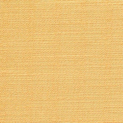 Kasmir ARIEL MARIGOLD