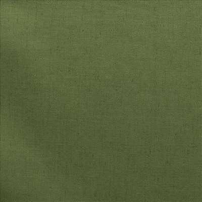 Kasmir ASHVILLE FERN