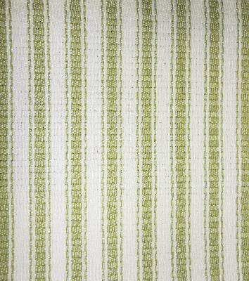 Kasmir Beachnut Stripe Pistachio