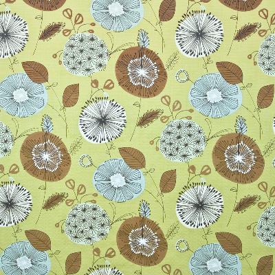 Kasmir Bisset Chickory