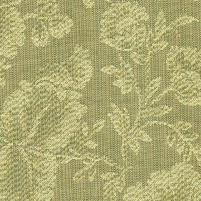 Kasmir BREWTON SPEARMINT