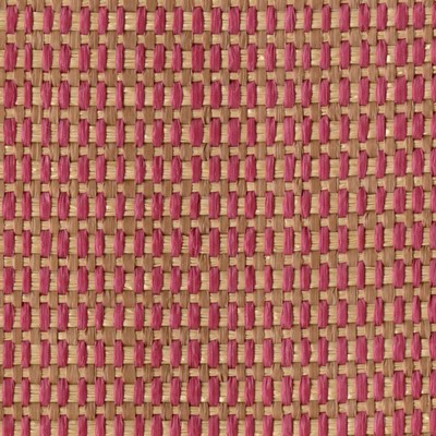 Kasmir CALGARY PIMENTO