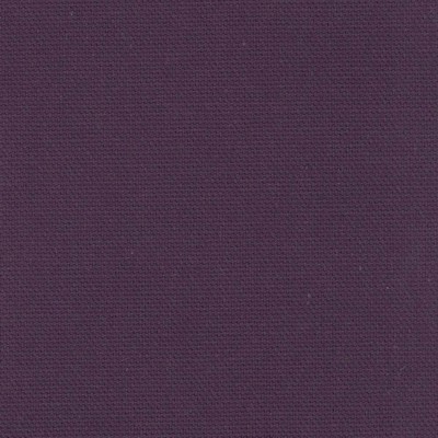 Kasmir CAPRICE GRAPE