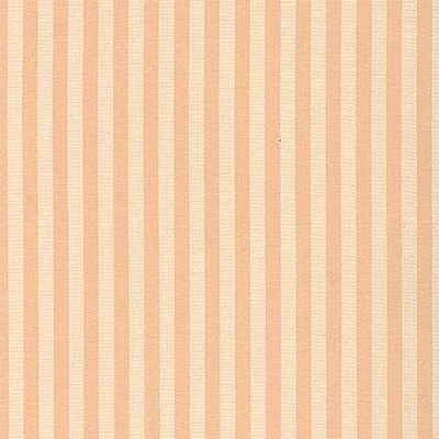 Kasmir CARRIER MANGO