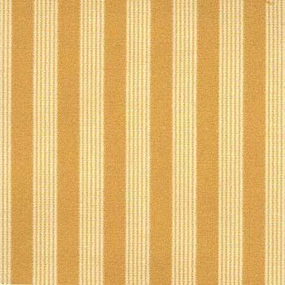 Kasmir CB 1105 SAFFRON