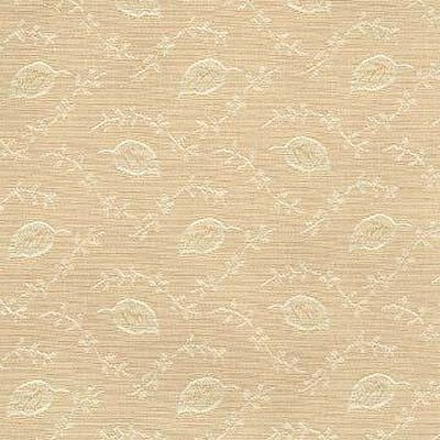 Kasmir CB 1205 PUTTY