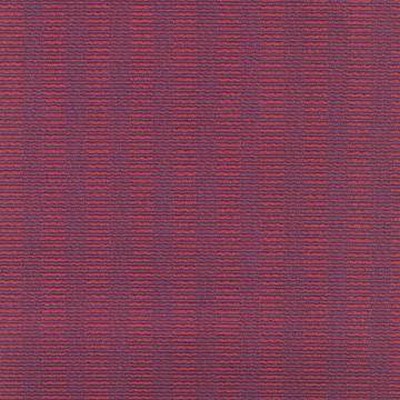 Kasmir CB 645 RADICCHIO