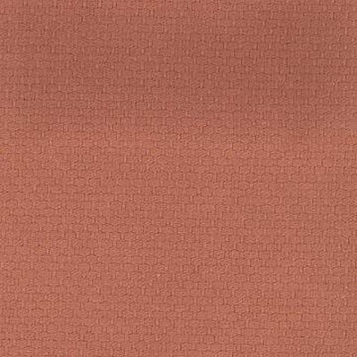 Kasmir CB 795 CINNAMON