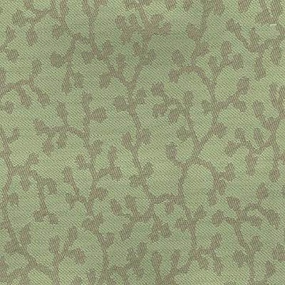 Kasmir CB 895 PISTACHIO