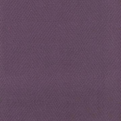 Kasmir CB 995 EGGPLANT