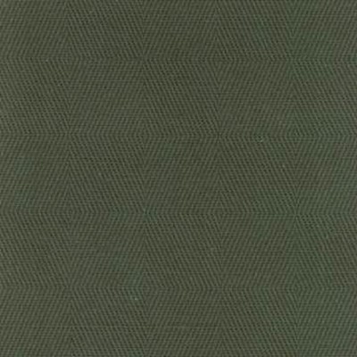 Kasmir CB 995 FOREST