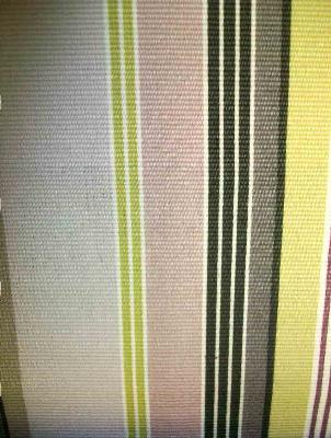 Kasmir Cha Cha Stripe Berry