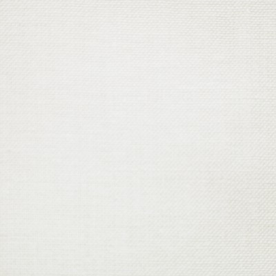 Kasmir Linings Crest White