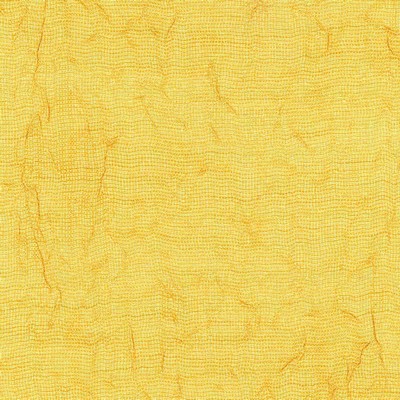 Kasmir EASTLAND GOLDENROD