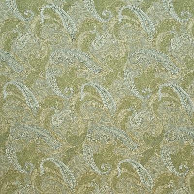 Kasmir Emberton Paisley Willow